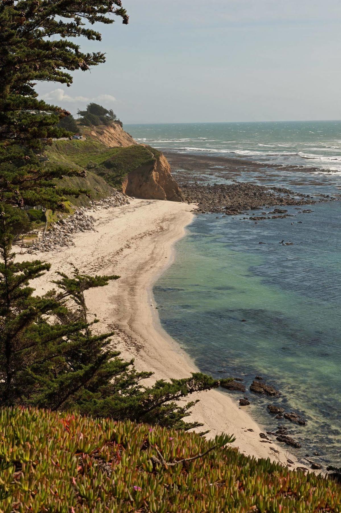 Seal Cove Inn Moss Beach Εξωτερικό φωτογραφία