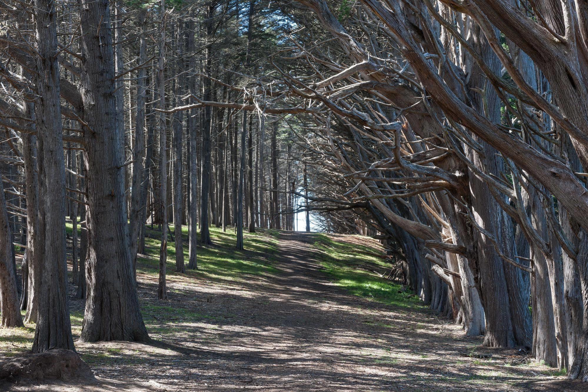 Seal Cove Inn Moss Beach Εξωτερικό φωτογραφία